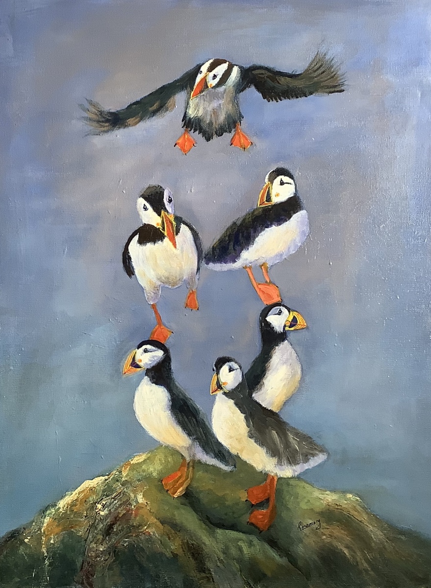 Rosemary Morgan - A pile of Puffins