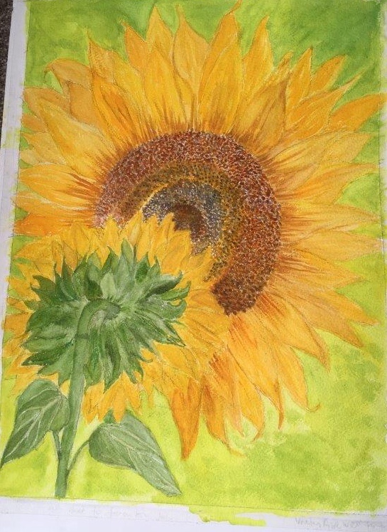 Jean Pakshong - Sunflowers