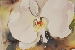 Natalie Doubrovksi - Orchids 1 - watercolour