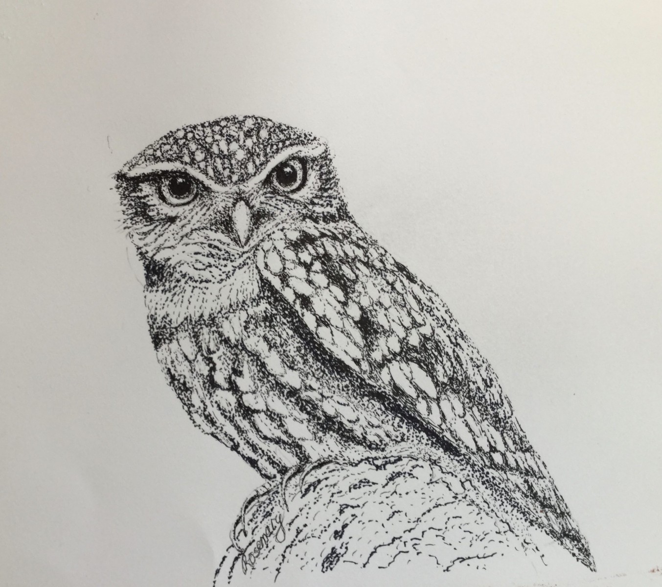Rosemary Morgan - Owl