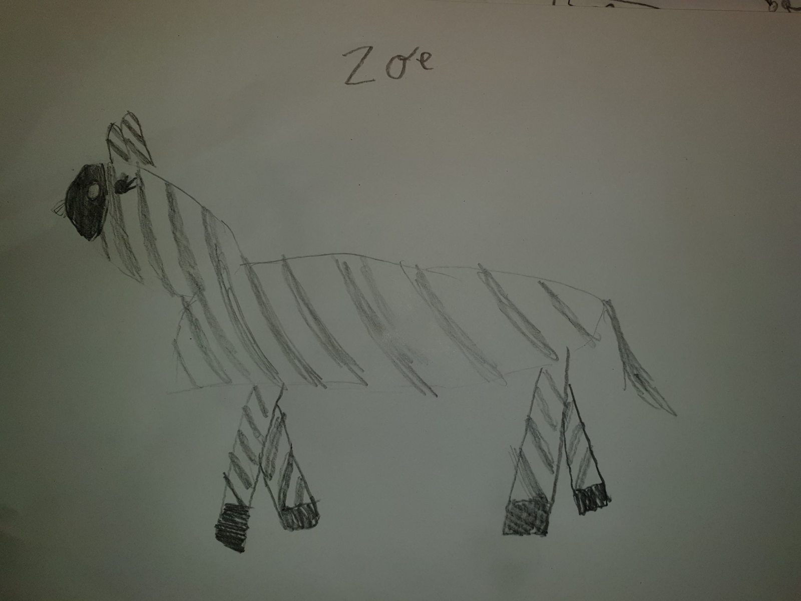 Zoe - Age 7 - Zebra