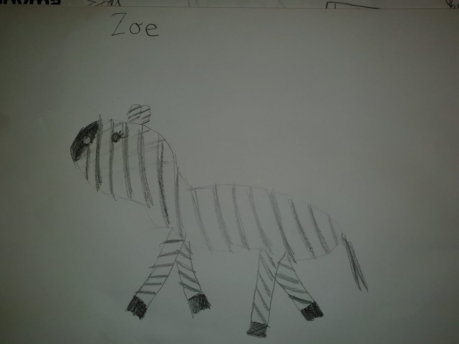 Zoe - Age 7 - Zebra 2