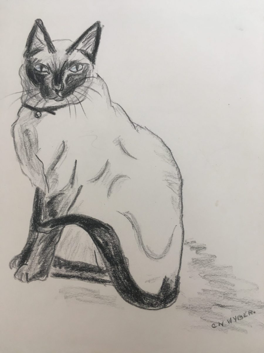 C. Wyber - Age 14 - Cat