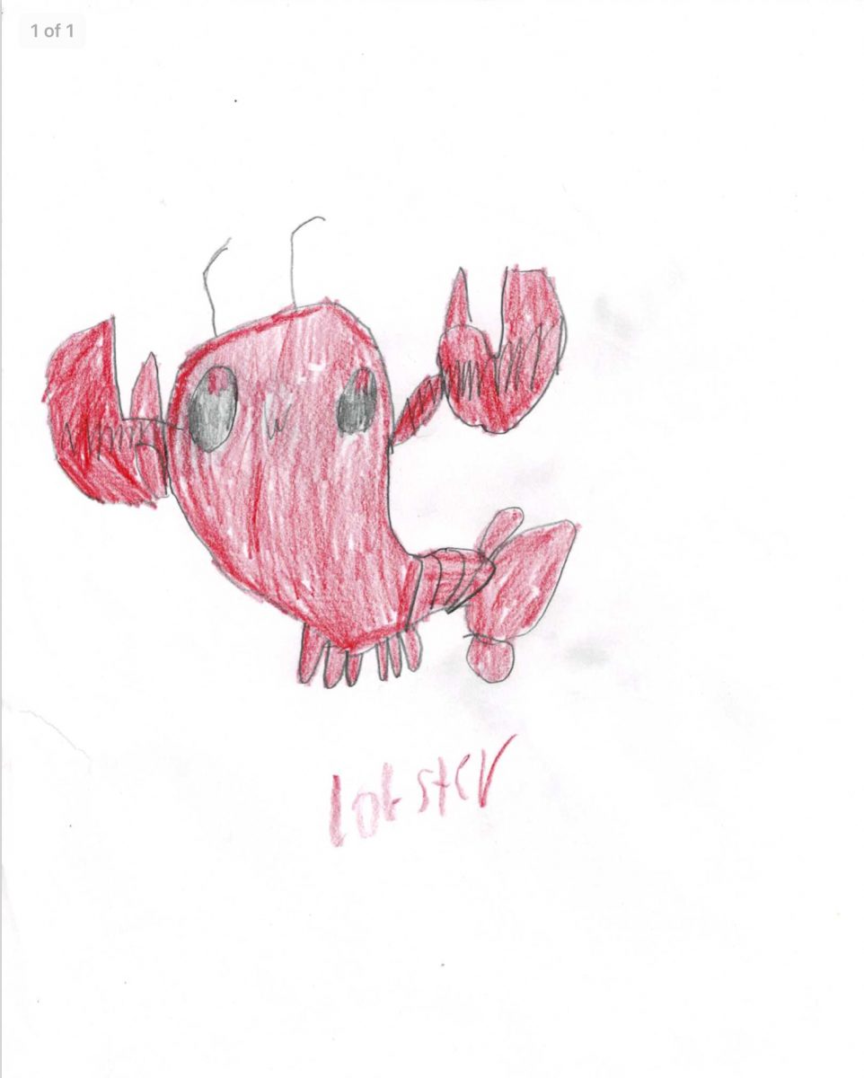Samuel - Age 8 - Lobster
