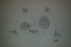Luke - Age 11 - Kung Fu Panda