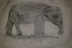 David - Age 11 - Elephant