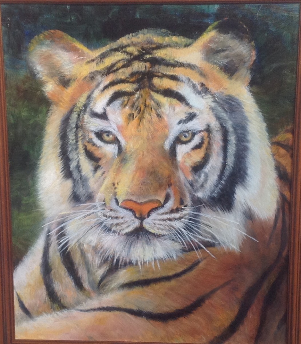Tiger - Lisa Long