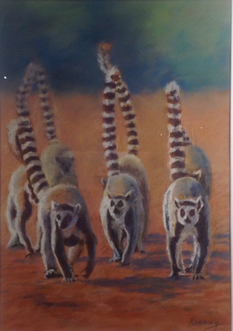 A Troop of Lemurs - Rosemary Morgan - Highly Commended