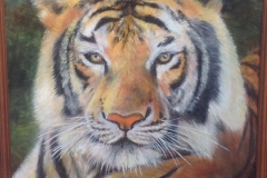Tiger - Lisa Long