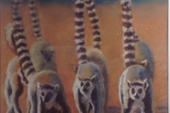A Troop of Lemurs - Rosemary Morgan