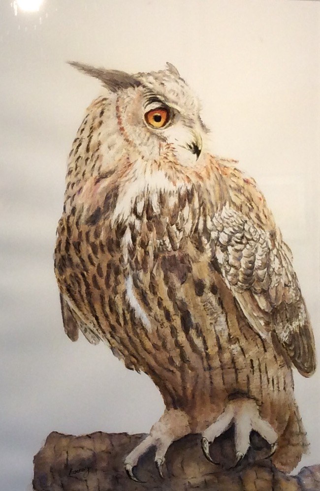 Eagle Owl - Rosemary Morgan
