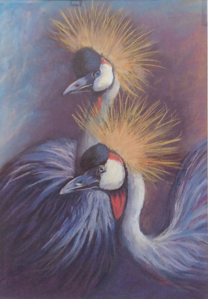 Golden Crested Cranes - Rosemary Morgan
