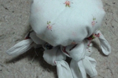 Handkerchief Octopus