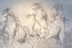 Camarague Horses Southern France - Sheryl Stuart