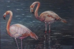 Flamingoes - Mia Davison