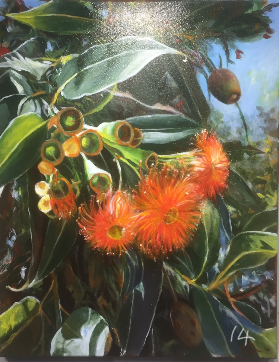 Flowers 2 (Flowering Gum Tree) - Natalie Doubrovski