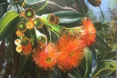 Flowers 2 (Flowering Gum Tree) - Natalie Doubrovski