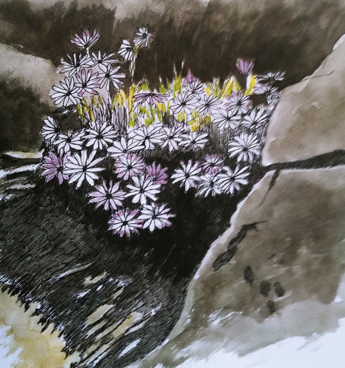 Eric Harvey - In the Rockery - Pen and Wash - 21 x 21cm