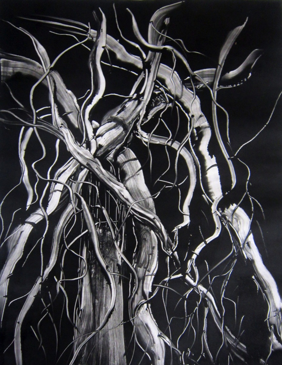 Farimah Eshraghi (Tutor) - Elm Tree - Monoprint (Printing ink) - 72 x 55cm