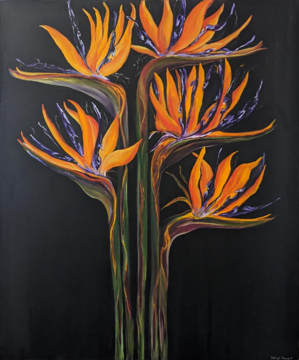 Sheryl Stuart - Birds of Paradise - Oil - 76 x 90cm