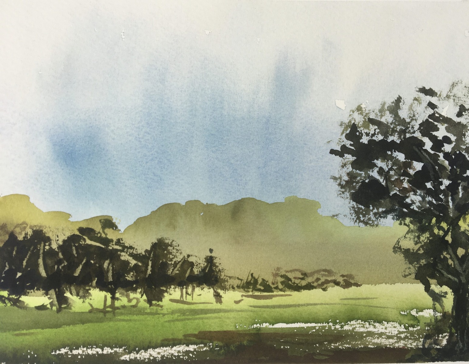 Mia Davison - Escape to the Meadow - Watercolour - 25.5 x 19cm