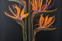 Sheryl Stuart - Birds of Paradise - Oil - 76 x 90cm
