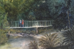 Nancye Davison - Bush Walk - Watercolour - 53 x 46cm