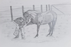 Sally Ann Glenn - Max Fixing His Horse's Shoe - Pencil - 29 x 42cm