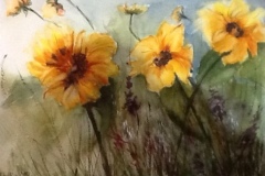 Thilly McLean - Sunflowers - Watercolour - 35.5 x 26.5cm