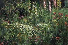 Harris Smith - Wildflower Meadow - Oil - 41 x 41cm