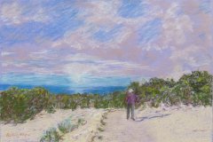 Robin Wren - Kangaroo Island - Pastel - 39 x 27cm