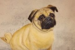 Anna Di Rico - Pedro the Pug - Watercolour and Pastel - 40 x 29cm