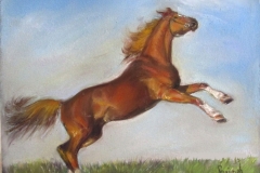 Farimah Eshraghi - Brown Horse