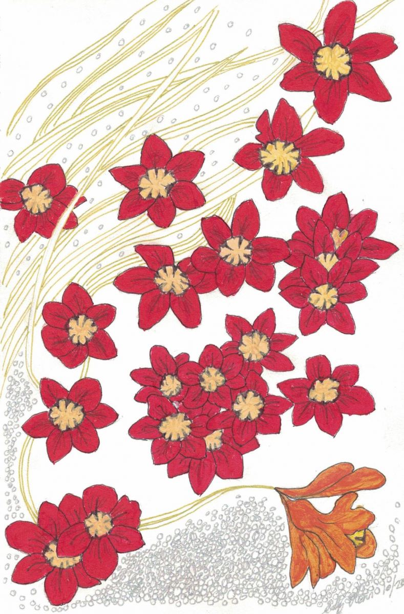 Sally Ann Glenn - Red Spring Flowers