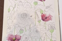 Sheryl Stuart - Opium Poppies - work in progress