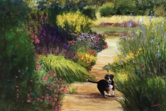Rosemary Morgan - Down the Garden Path